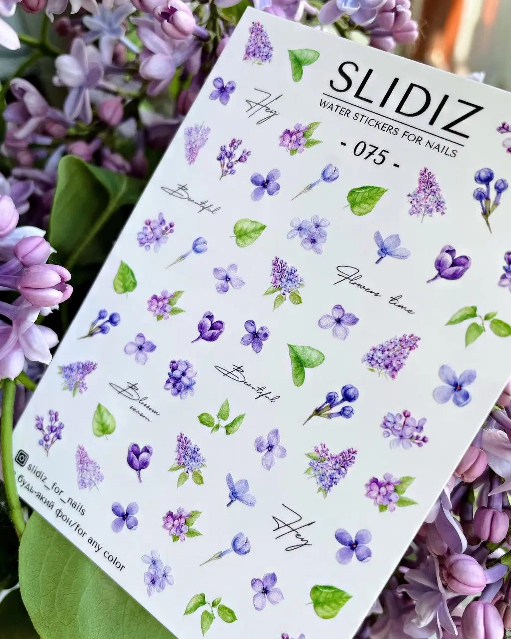 Slider SLIDIZ #075