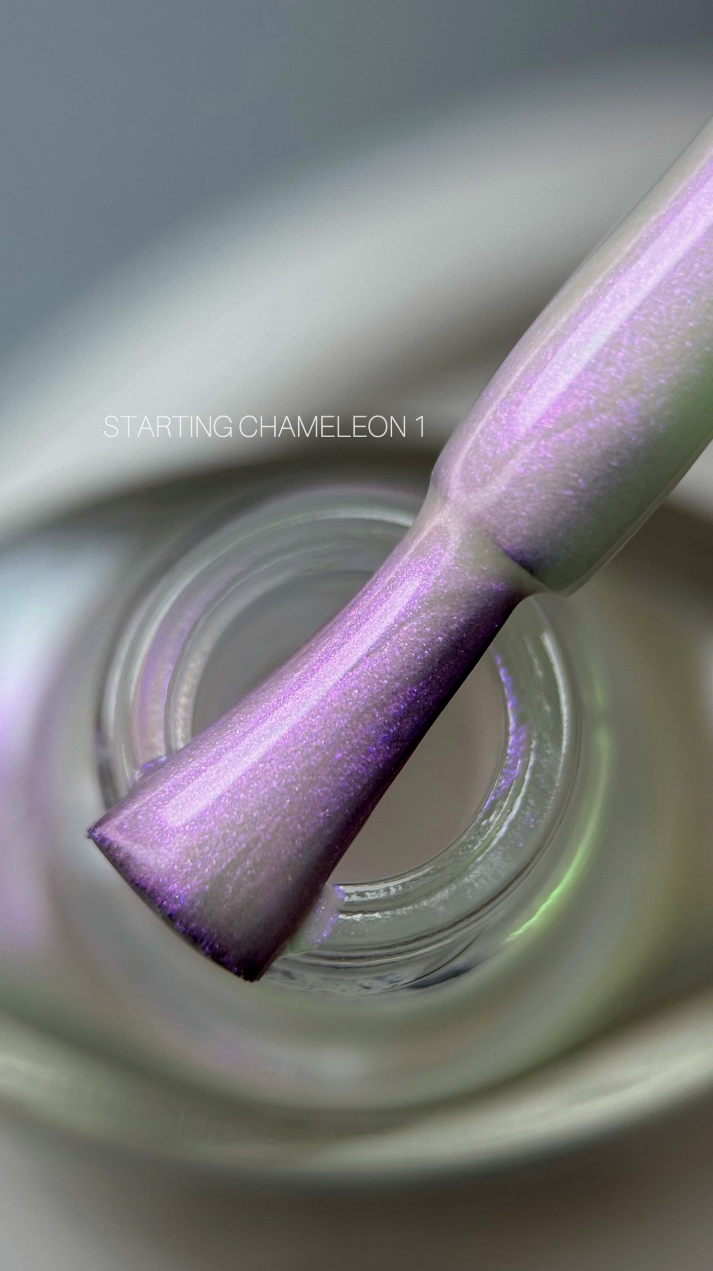 Saga Stamping Polish Chameleon #01