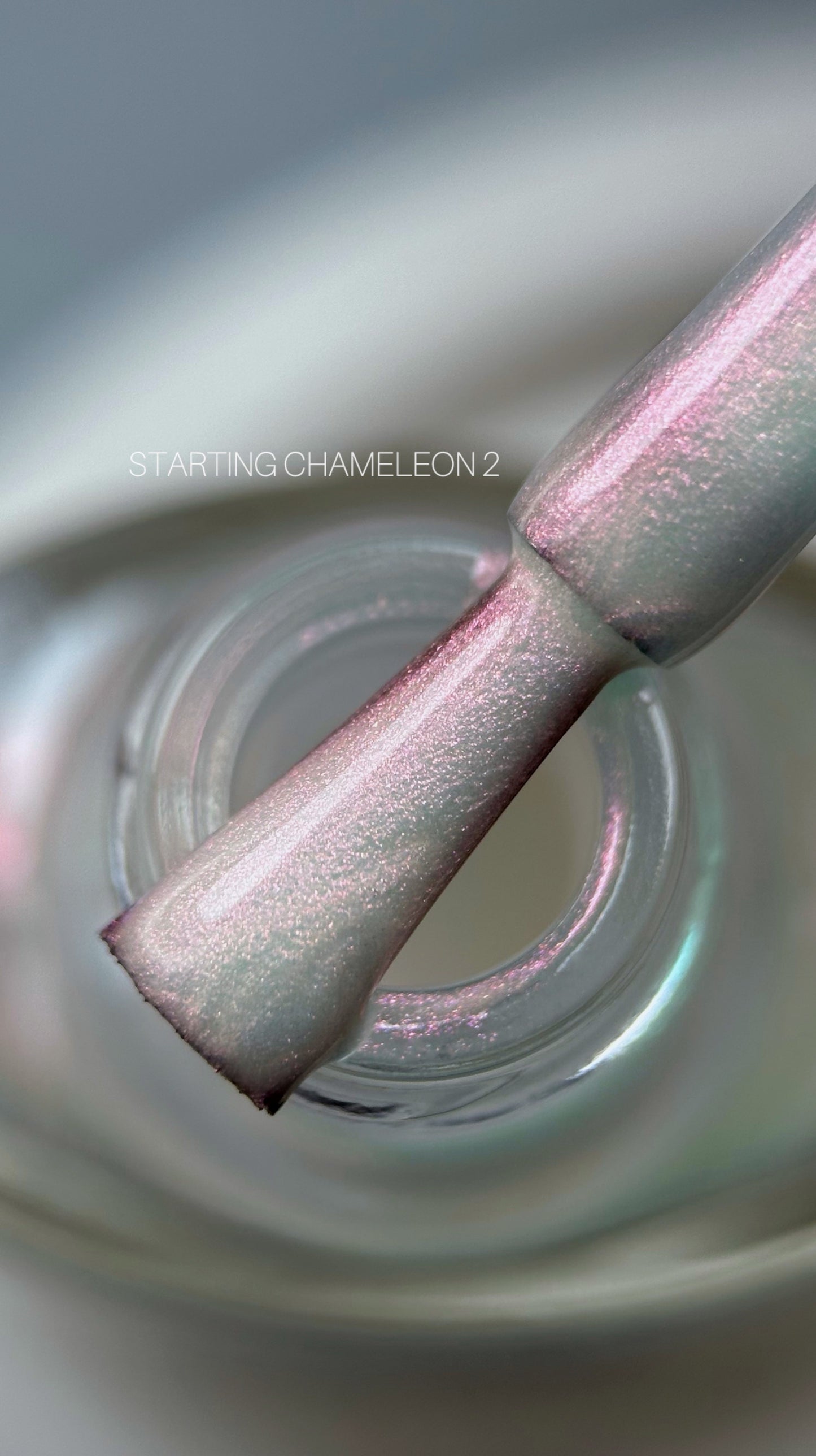 Saga Stamping Polish Chameleon #02