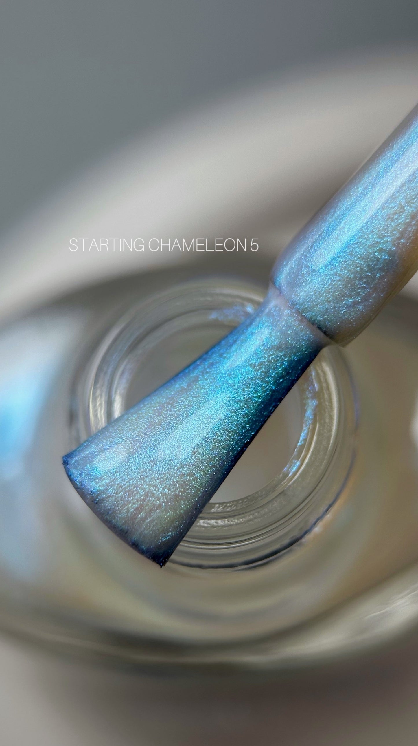 Saga Stamping Polish Chameleon #05