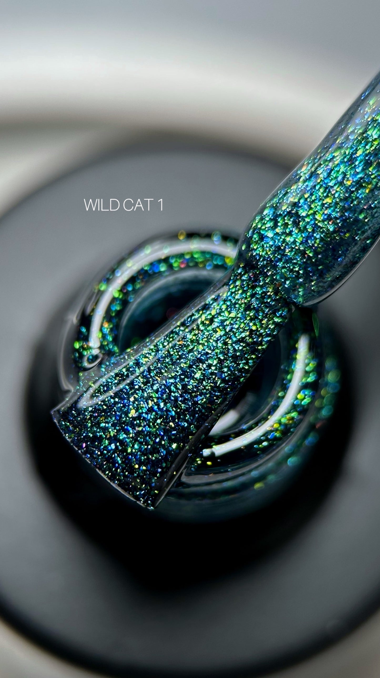 Saga Wild Cat #01