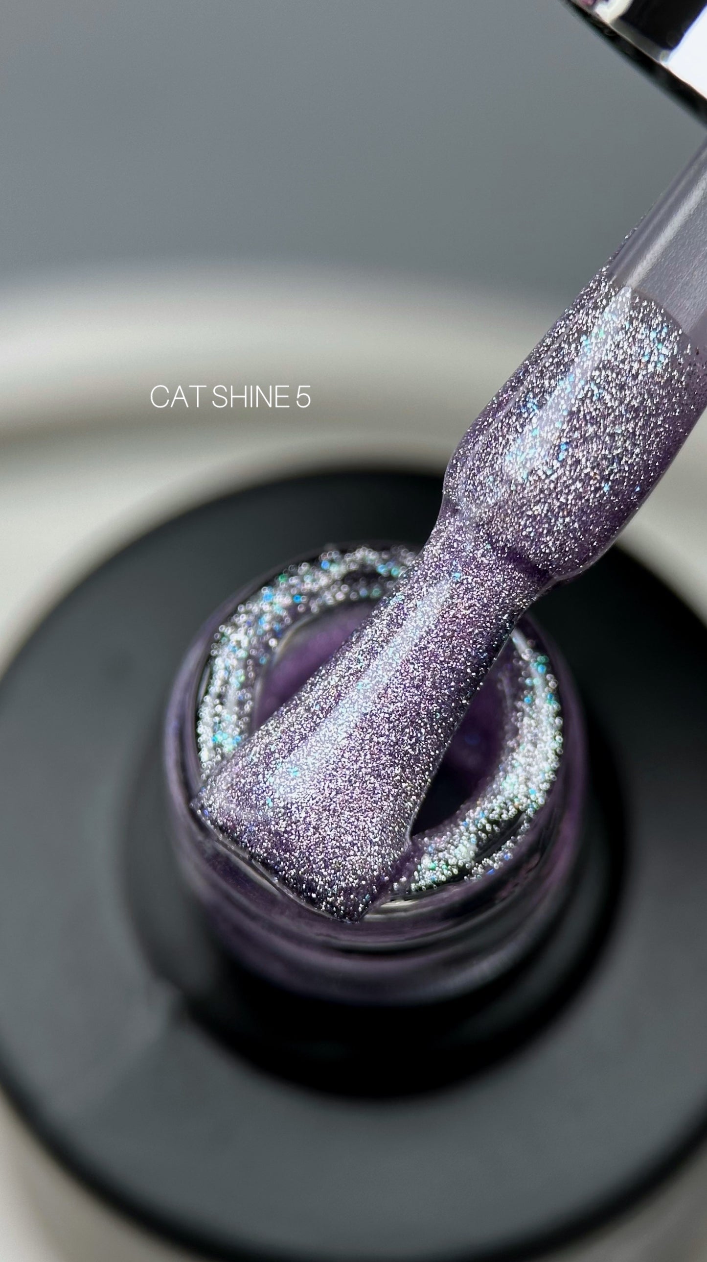 Saga Cat Shine #05