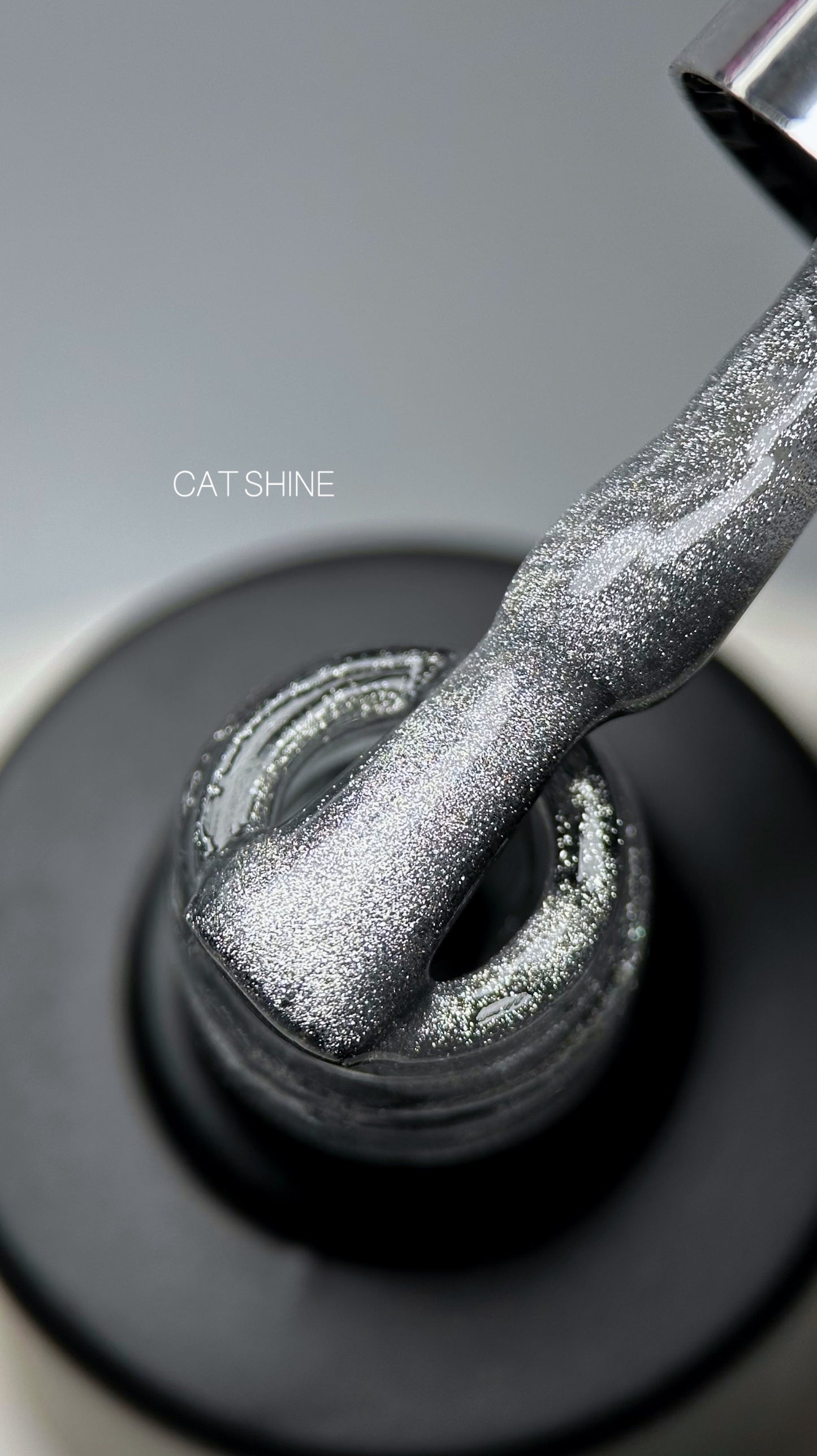 Saga Cat Shine
