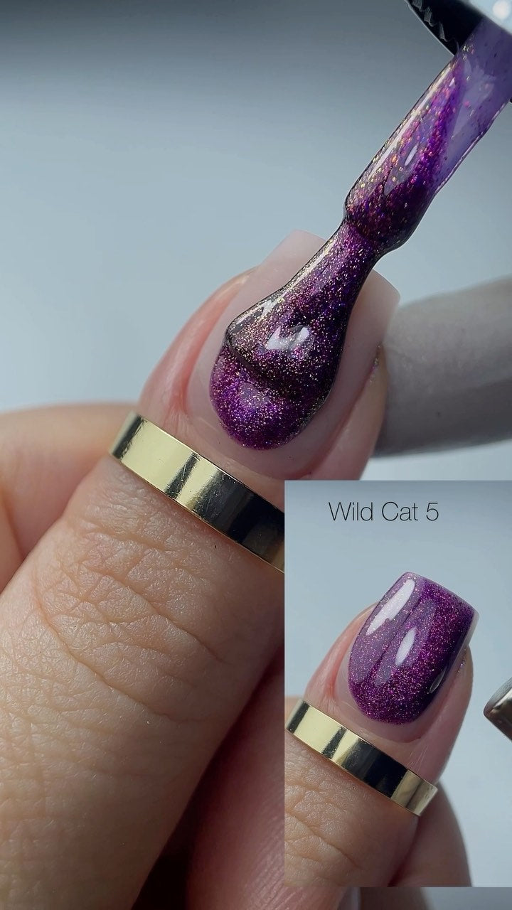 Saga Wild Cat #05