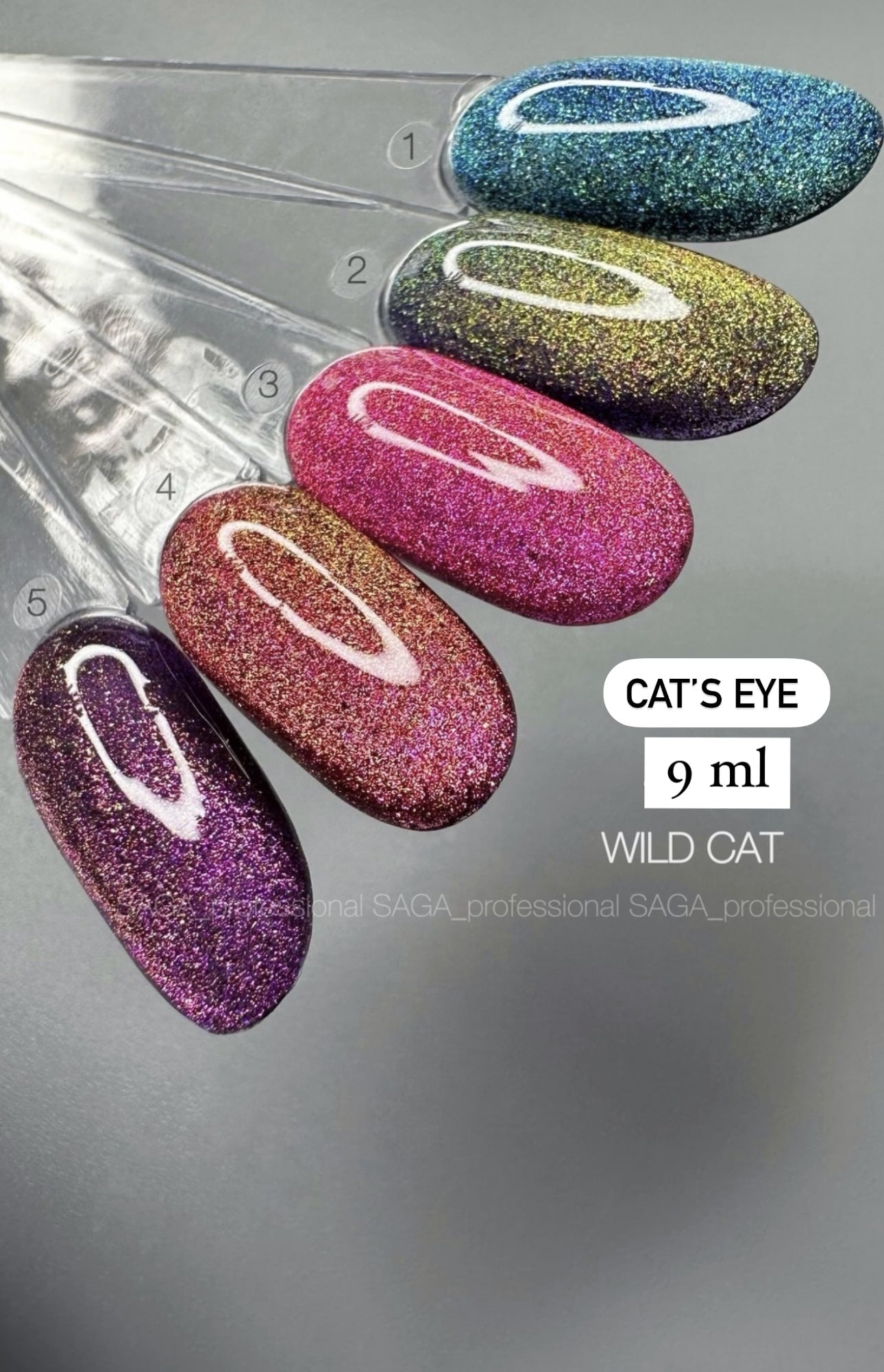 Saga Wild Cat #01