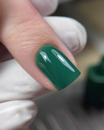 DARK Gel Polish #165